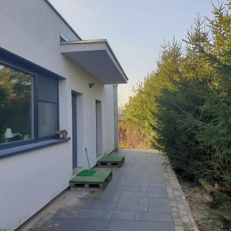 Maly Apartament W Zieleni Blisko Jeziora Sroda Wielkopolska Luaran gambar