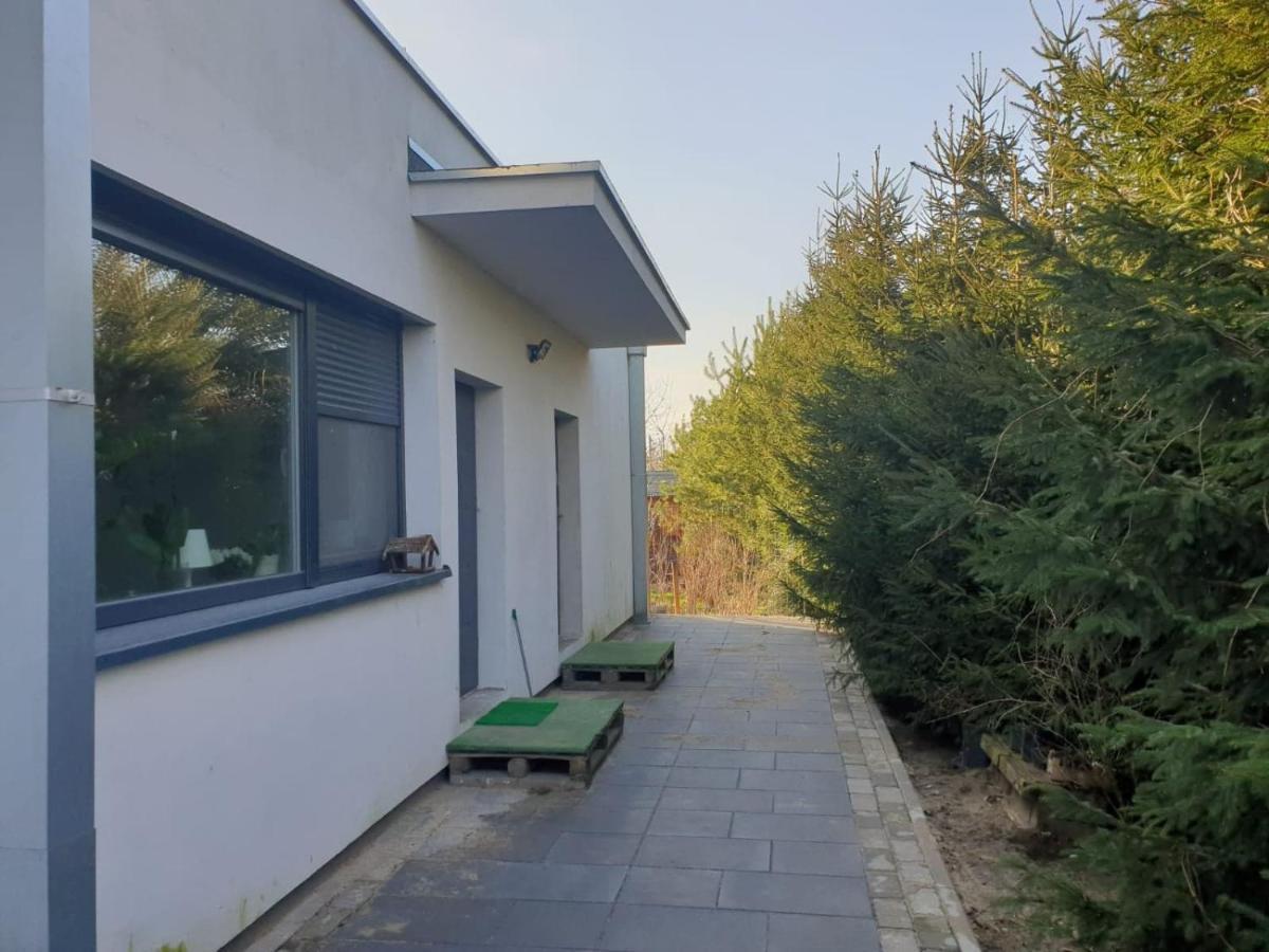 Maly Apartament W Zieleni Blisko Jeziora Sroda Wielkopolska Luaran gambar